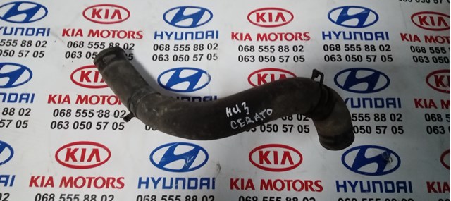 Шланг/патрубок радіатора охолодження, нижній Hyundai/Kia 254122F800 ціна, від 6.86 USD