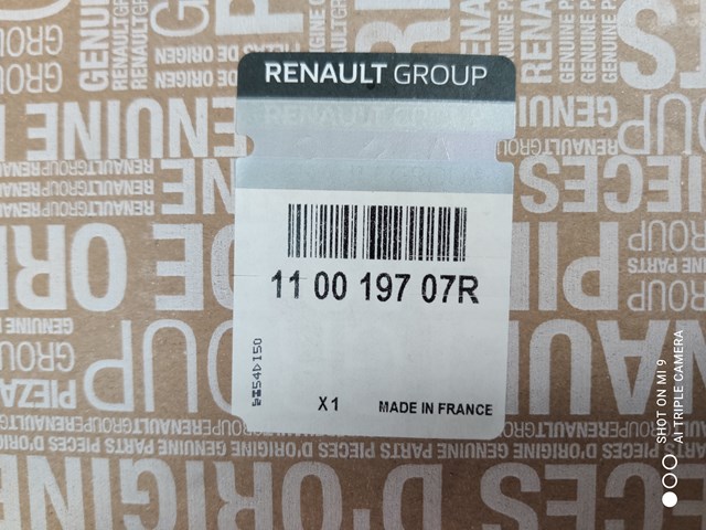  110019707R Renault (RVI)