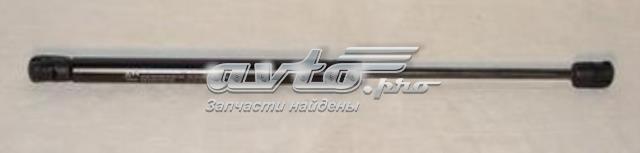 амортизатор кришки багажника/ двері 3/5-ї задньої ZSAW0006 Амортизатор двері п'ятої ASHIKA ZSAW0006