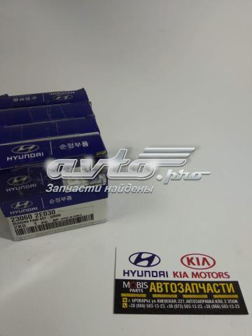 Вкладиші шатунні 230602E030 Hyundai/Kia