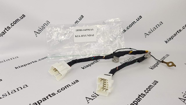 1898004753AS Hyundai/Kia 