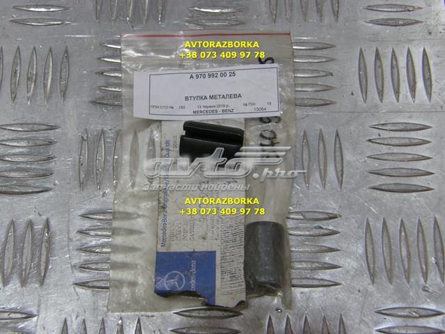  A9709920025 Mercedes