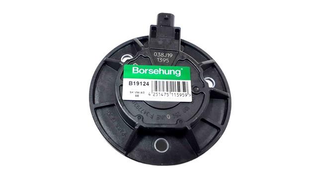 B19124 Borsehung клапан електромагнітний положення (фаз розподільного валу)
