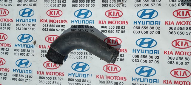  2826127280 Hyundai/Kia