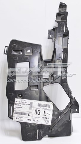9809173880 Peugeot/Citroen 