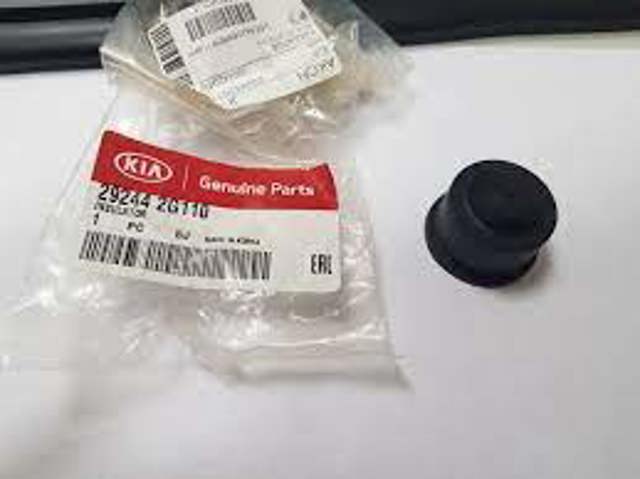 292442G110 Hyundai/Kia 