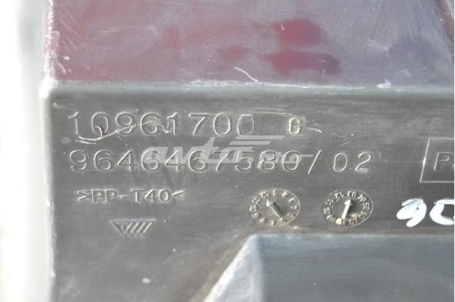9646467580 Peugeot/Citroen 