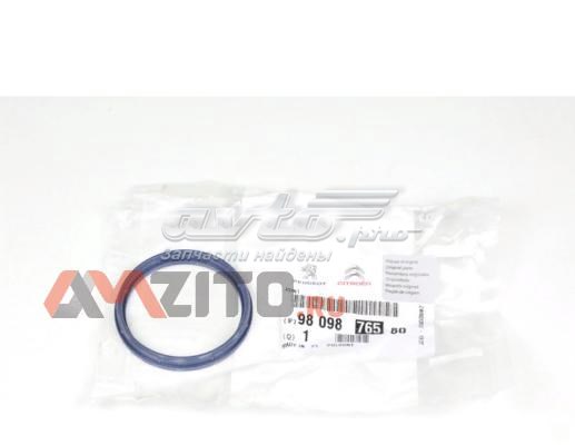 Прокладка EGR-клапана рециркуляції Peugeot/Citroen 9809876580