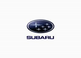 Пильник рульового механізму/рейки, лівий SUBARU 34137AE010 Пильник рульового механізму/рейки, лівий SUBARU 34137AE010