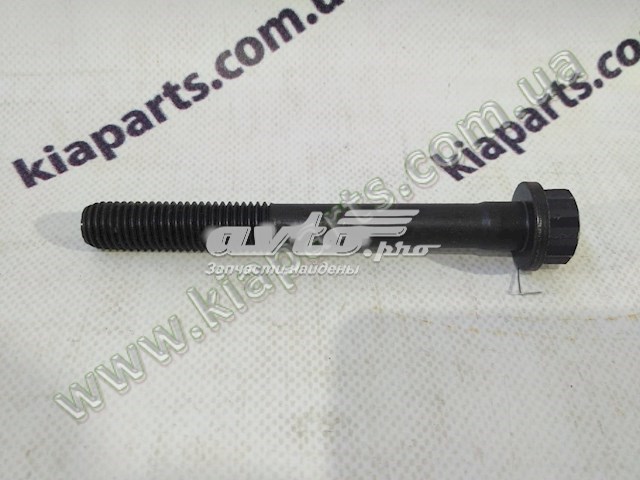2232141001 Hyundai/Kia Болт кріплення головки блоку циліндрів