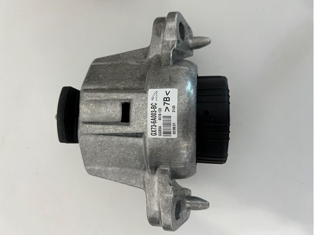  T2H53874 Jaguar