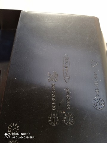  Peugeot/Citroen 9813769480