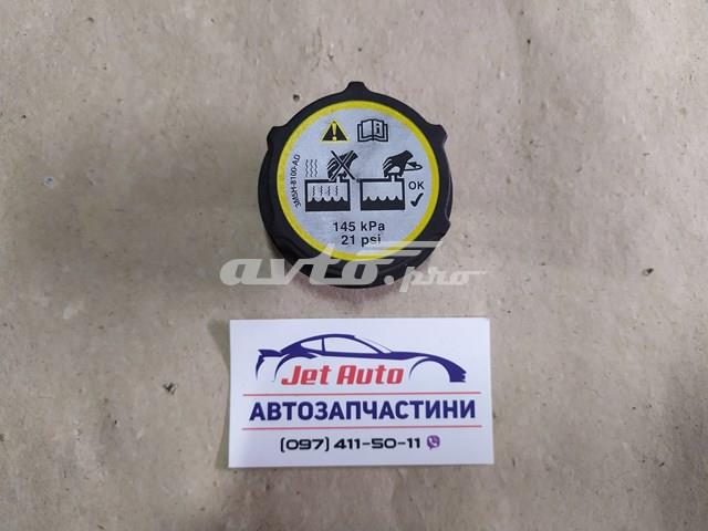  302320494 Ford