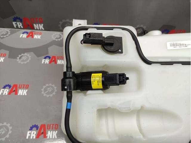 DS7317B613 Ford 