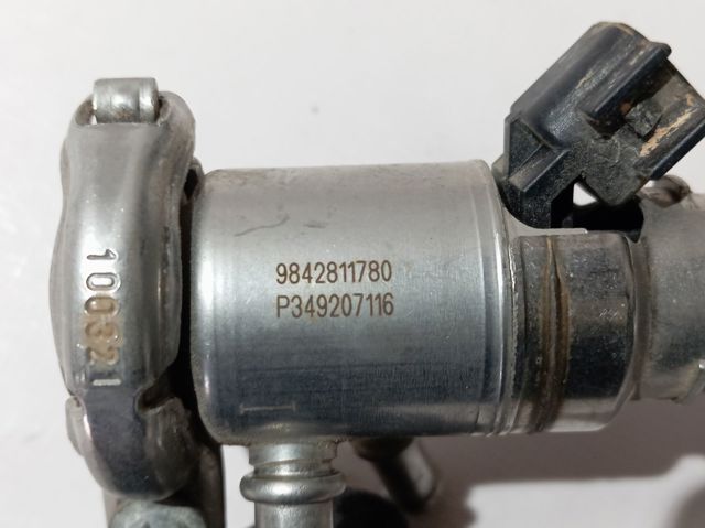  Peugeot/Citroen 9842811780
