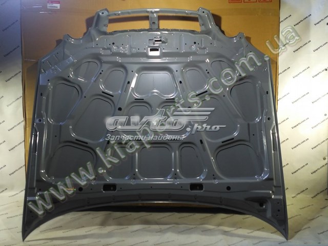 Купити 664003C800 Hyundai/Kia Капот