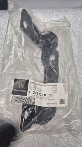  Mercedes A2966220100