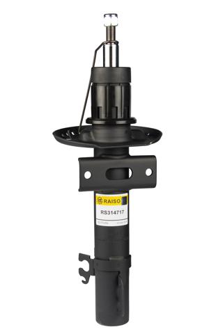 RS314717 Raiso Стійка передня