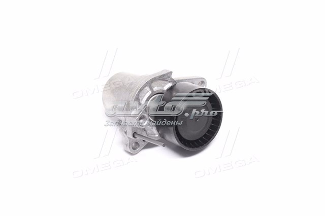 Натягувач приводного ременя 534062410 Schaeffler Gruppe