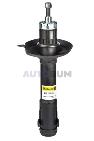 RS170381 Raiso Стійка передня
