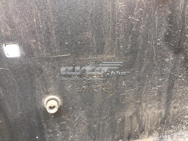  Peugeot/Citroen 9677698280
