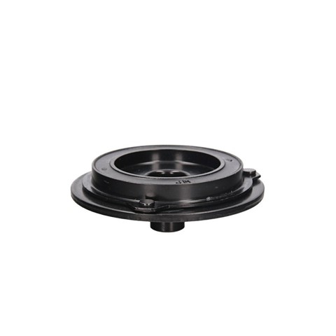  MSG PT1001