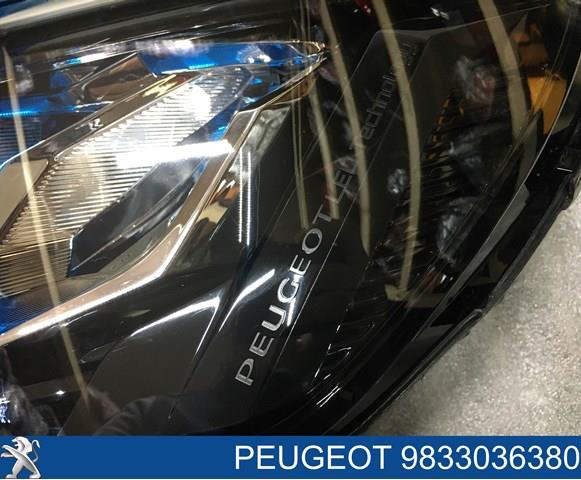  90200109 Peugeot/Citroen