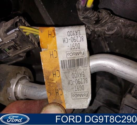 DG9T8C290 Ford 