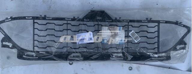 Решітка переднього бампера, центральна PBM99406A Signeda