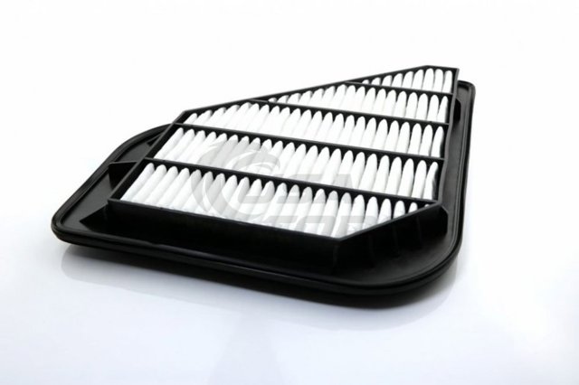 Повітряний фільтр SX49634 Shafer