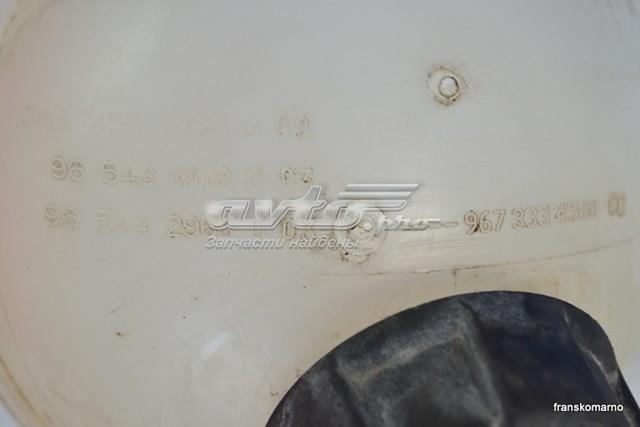  Peugeot/Citroen 9654310780