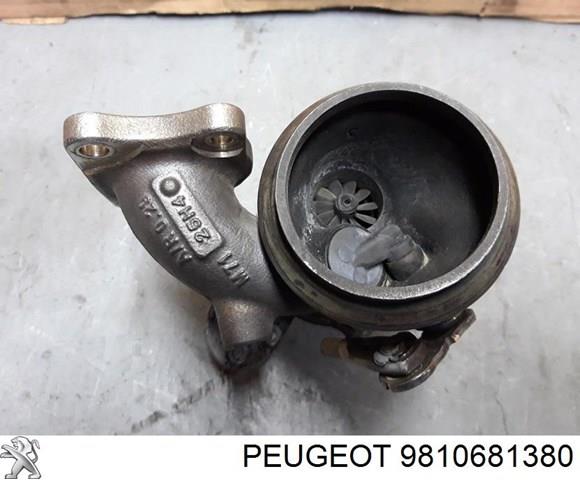 Купити 9810681380 Peugeot/Citroen 