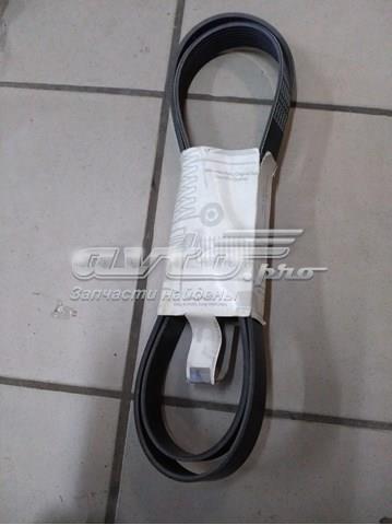 A9069934096 Mercedes Поліклиновий ремінь