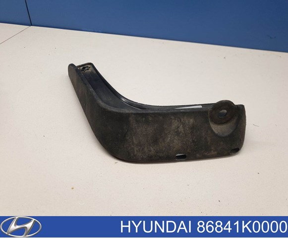 86841K0000 Hyundai/Kia Бризговик задній, лівий