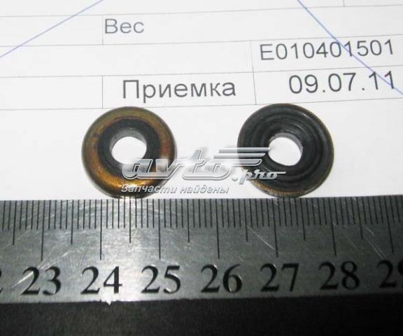 1022004500 Geely Шайба болта клапанної кришки