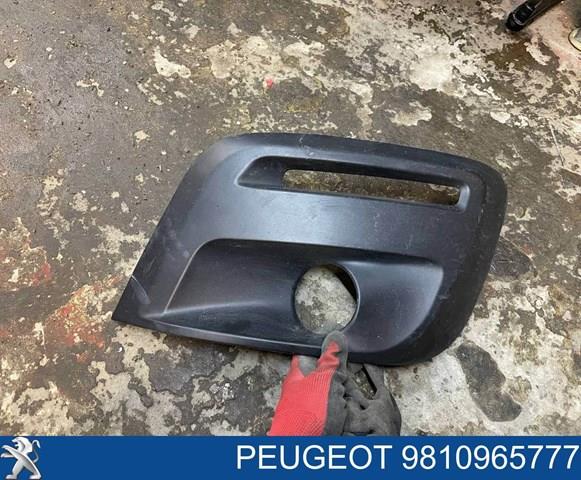 Заглушка під протитуманні фари, ліва Polcar 23U1299 ціна, від 11.04 USD