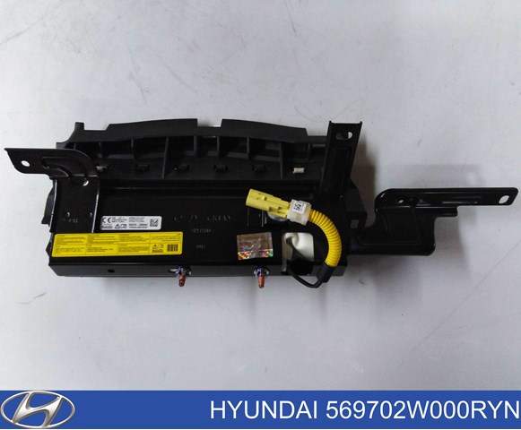 569702W000RYN Hyundai/Kia 