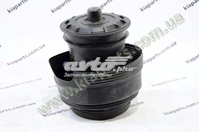Пневмоподушка задня Hyundai/Kia 553312J300