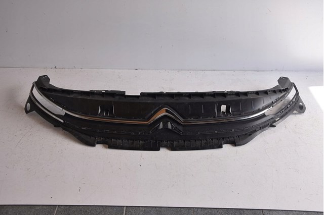 Облицювання радіатора Peugeot/Citroen 9816749780 ціна, від 98.76 USD