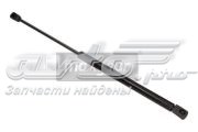 Купити 430719080500 Magneti Marelli Амортизатор під капот