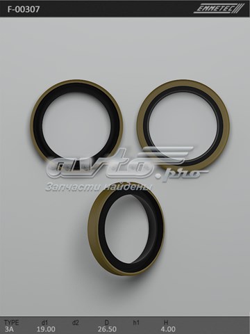  F00307 Emmetec