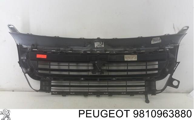  Peugeot/Citroen 9810963880 ціна, від 145.97 USD