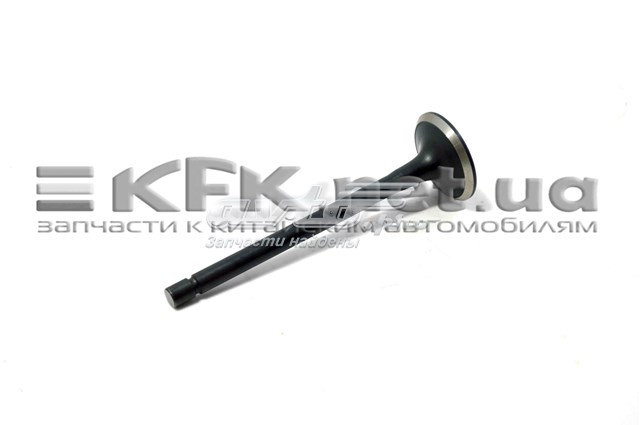 8971713990 Isuzu Клапан випускний