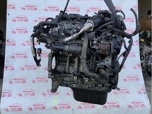 Блок циліндрів Peugeot/Citroen 9683251610 ціна, від 206.99 USD