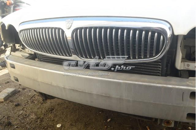 Купити C2S10796 Jaguar 