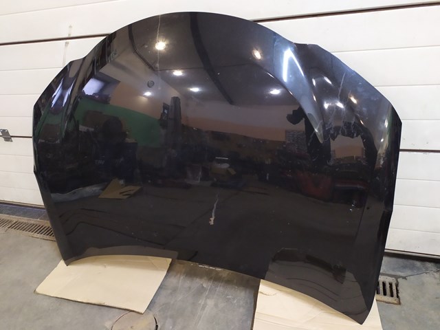 Капот Signeda PTY20248A