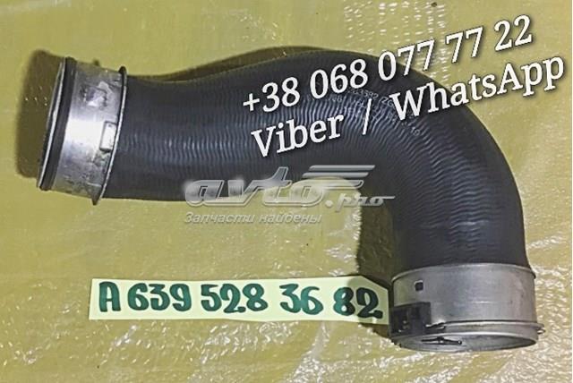 A6395283682 Mercedes Трубка, що нагнітається