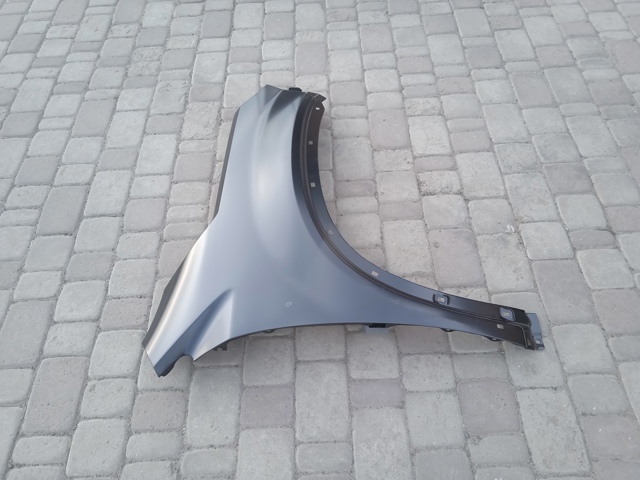 Купити 417202 Polcar Крила
