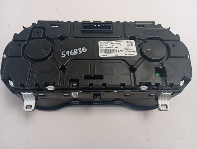  248096218R Renault (RVI)