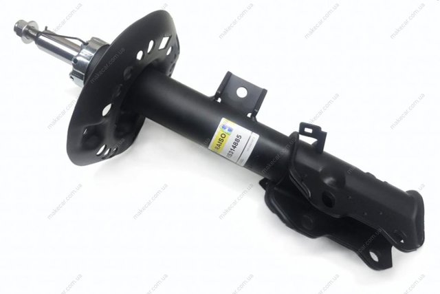 Амортизатори передні Raiso RS314885